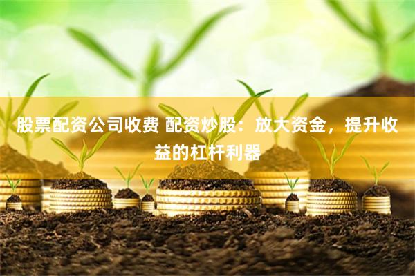 股票配资公司收费 配资炒股：放大资金，提升收益的杠杆利器