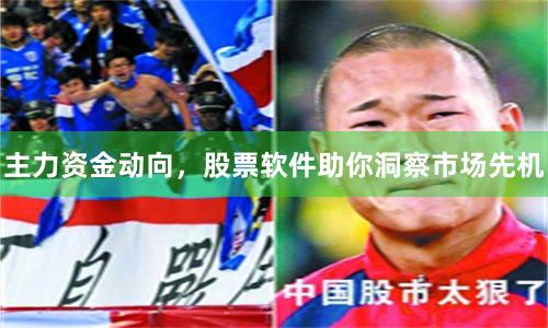 主力资金动向，股票软件助你洞察市场先机
